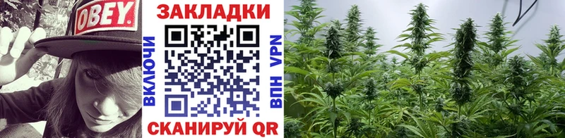 Купить наркотик Буй КОКАИН  А ПВП  АМФЕТАМИН  МАРИХУАНА 