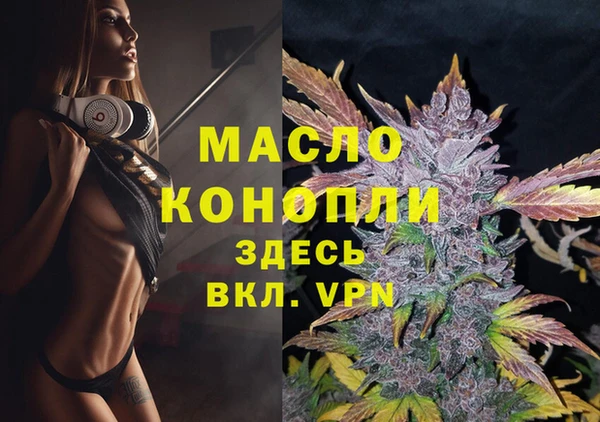 ECSTASY Богородицк