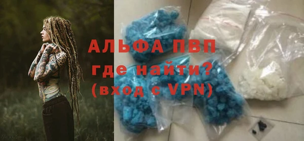 ECSTASY Богородицк