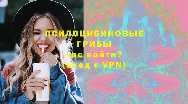 ECSTASY Богородицк