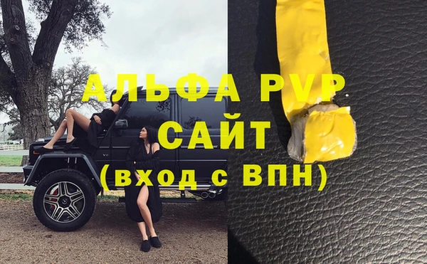 ECSTASY Богородицк