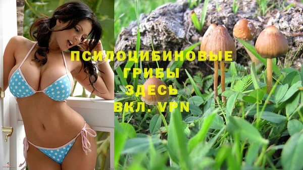 дмт Майский